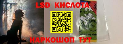 шишки Моздок