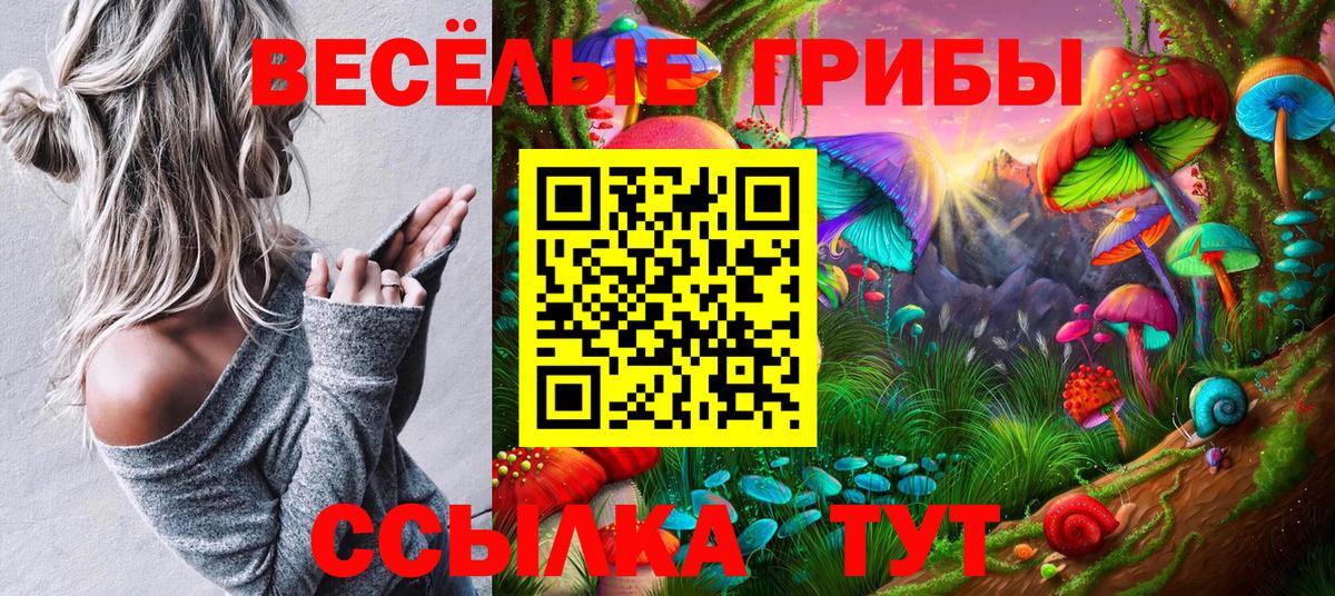 купить наркоту  Галлюциногенные грибы Cubensis  Вход с VPN  Урус-Мартан 